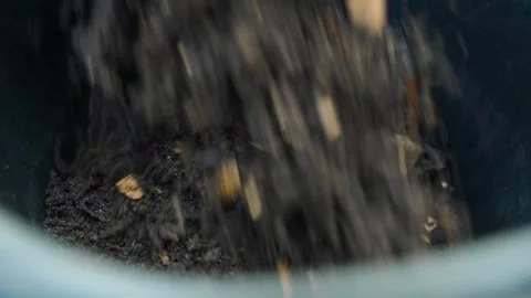 Pouring fresh compost into a bucket, close-up in slow motion Stock Footage 305689801