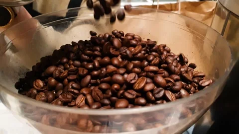 Pouring fresh roasted coffee beans into a coffee grinder. Preparation of coffee Stock Footage 313224277