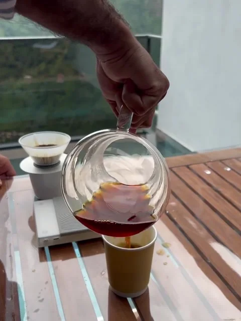 Pouring Freshly Brewed Filter Coffee from Glass Server Into Cup Stock Footage 339880542