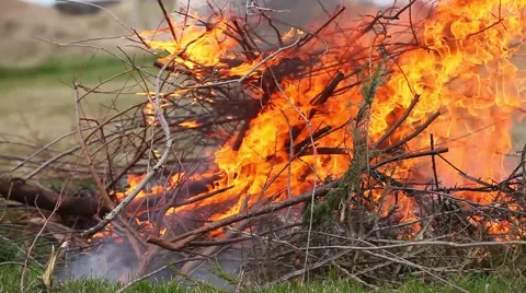 Pouring gas onto fire closeup Stock Footage 49733355