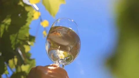 Pouring a glass of white wine. 库存影片 77438457