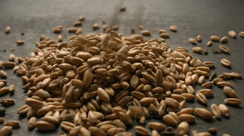 Pouring grain on a sheet of wood Video stock 64098703