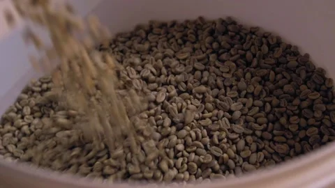 Pouring green coffee beans for measuring Stock-Footage 144890727