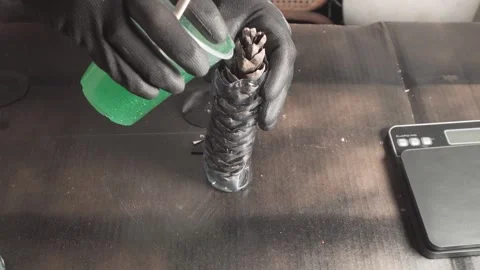 Pouring Green Epoxy Resin on Pine Cone in Mold Stock Footage 346692721
