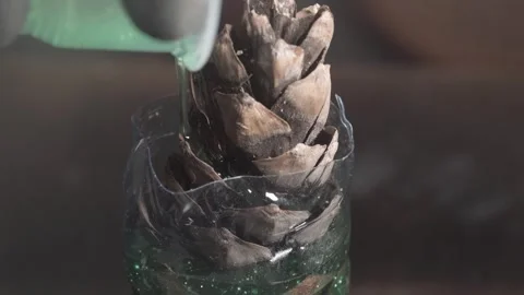 Pouring Green Epoxy Resin on Pine Cone in Plastic Mold Macro Stock Footage 346699483