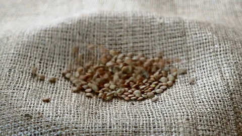 Pouring green lentils close-up Stock Footage 102653532