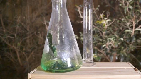 Pouring green liquid into a test tube with leaves in an outdoor Stock Footage 106924898