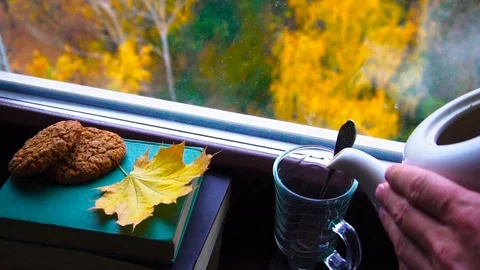 Pouring hot tea into a cup in front of the window in autumn Stock Footage 100407978