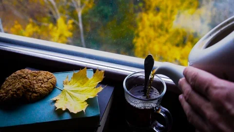 Pouring hot tea into a cup in front of the window in autumn Stock Footage 100408168