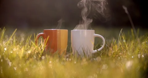 Pouring hot tea into cups in the grass. Self-isolation in countryside. Stock Footage 128324506