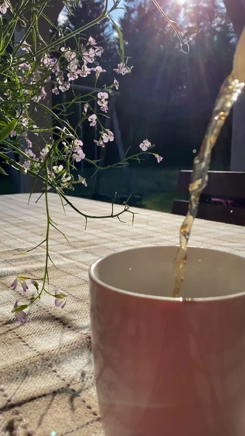 Pouring hot tea in a white cup on the table on summer day. Morning breakfast Stock Footage 289144270