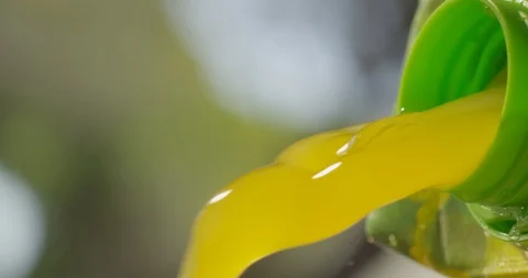 Pouring juice from bottle Vidéo 111573390
