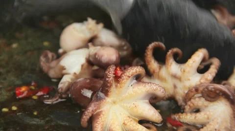 Pouring Marinade On Octopus Stock Footage 37871703