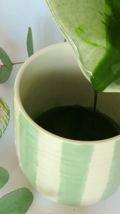 Pouring Matcha Green Tea into Ceramic Mug Close Up 4K Vertical Video 스톡 동영상 335641113
