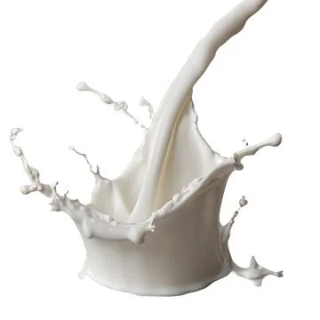 Pouring milk splash isolated on white background. Splash of milk or cream Stock Illustration