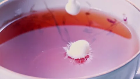 Pouring Milk in Tea Cup on the Table Super slow motion 1000fps 스톡 동영상 130984992