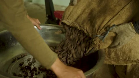 Pouring nuts from a hessian sack Stock Footage 213211004