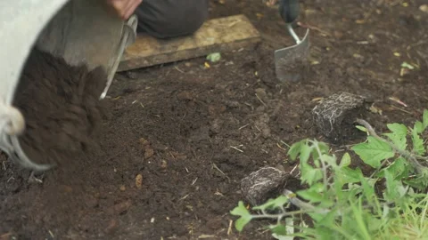 Pouring out mixed compost and soil form ... | Stock Video | Pond5