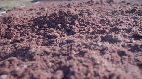 Pouring Peat Moss onto Garden Soil in Slow Motion Stock Footage