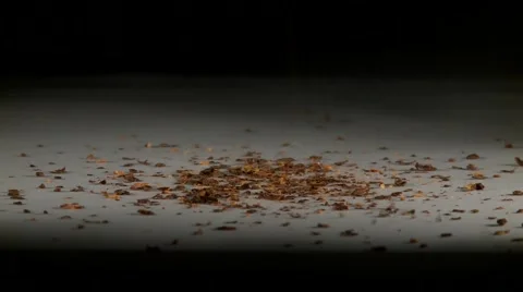 Pouring pepper spice Stock Footage