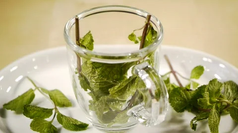 Pouring Peppermint Leaves Stock Footage 690988
