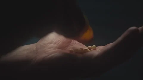 Pouring Pills from Bottle into Hand Stock Footage 280551525