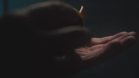 Pouring Pills from Jar into Palm Stock Footage 278513677