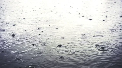 Pouring Rain In Autumn 库存影片 73909254