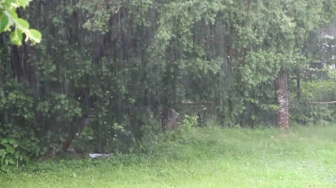 Pouring Rain Stock Footage 11322719