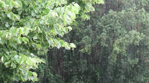 Pouring Rain Vidéo 11324175