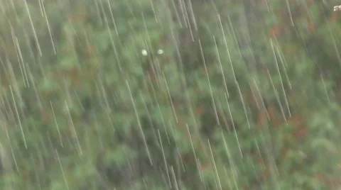 Pouring Rain Stock Footage 69056636