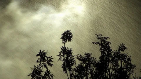 Pouring rain raining in stormy night Typhone Monsoon  Stock Footage 26801078