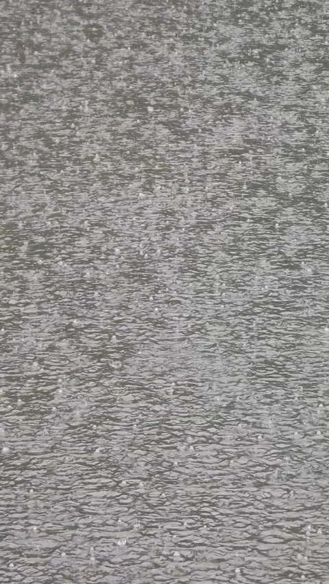 Pouring rain on river water surface vertical raw video with sound Stock Footage 255925984