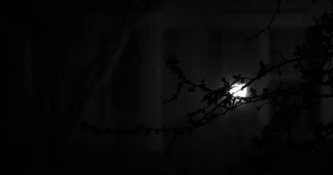 Pouring rain through tree limbs looking at bright light street lamp Stock Footage 205448580