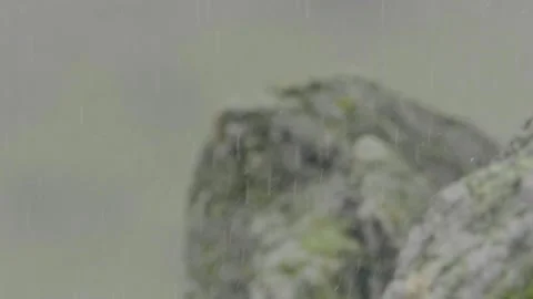 Pouring rain , water drops falling on rocks Stock Footage 136028997