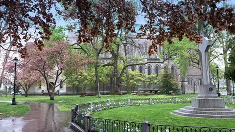 Pouring Rain in Wet Park in Spring Time, Outdoor Nature Water Puddle Green Grass Stock Footage 120812930