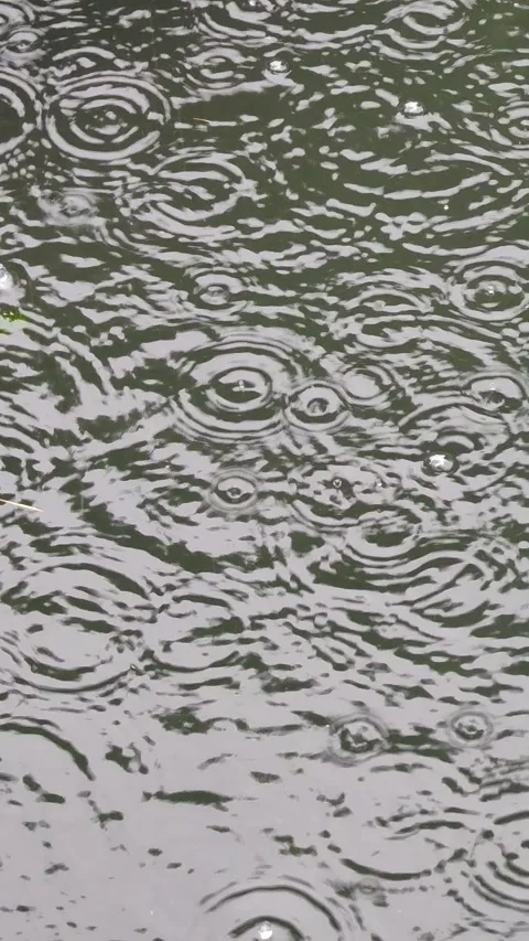Pouring raindrops water surface ripples rain texture abstract vertical video Stock Footage 248374630