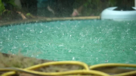 Pouring rainfall into pool in backyard garden Stock Footage 316295304