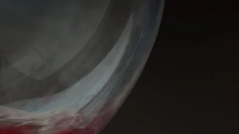 Pouring red wine of bottle. Isolated beverage, alcohol, winery Video stock 101733347
