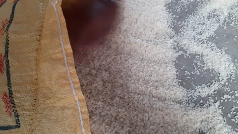 Pouring rice in to sack. Stock Footage 140952826