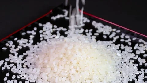 Pouring rice onto the tray Stock Footage 306502461