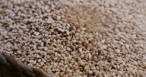 Pouring sesame seed Stock Footage 162623552