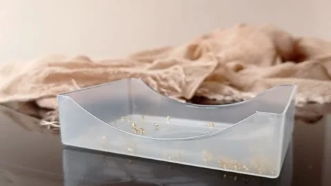 Pouring small pearls into a small box Stock Footage 146257199