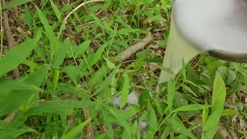 Pouring soapy laundry waste water onto green grass, Household environmental.. Stock Footage 328671281