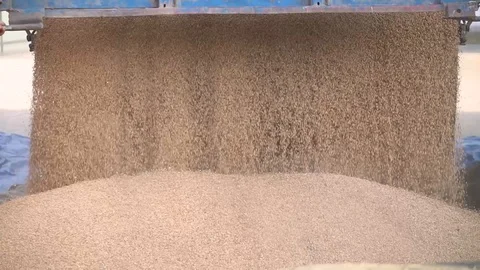 Pouring soy bean grain into tractor trailer after harvest Stock Footage 102685921