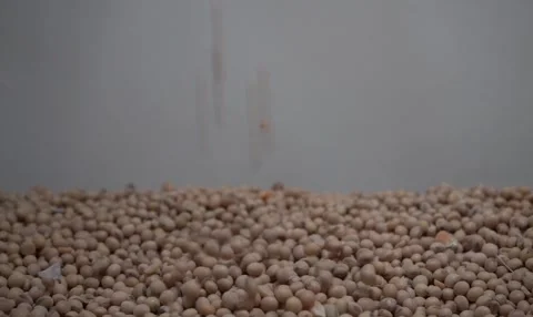 Pouring Soybeans - Close-up Stock Video for Food Content Stock Footage 314684091