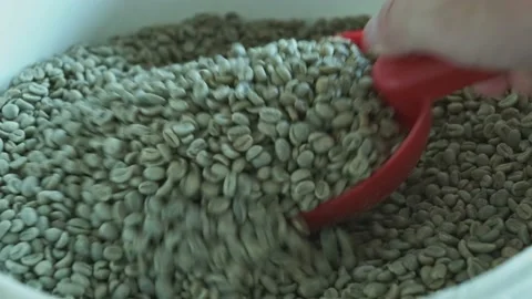 Pouring, stirring and pulling the raw coffee beans out of the container using Vídeos de archivo 142011950