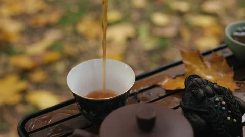 Pouring tea from a clay vessel into a ceramic bowl. outdoor tea ceremony Stock Footage 220415534