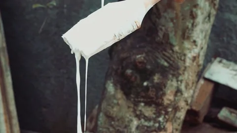 Pouring wall paint Stockbeeldmateriaal 147709985