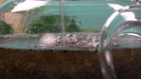 Pouring water into the teapot Video stock 79823505